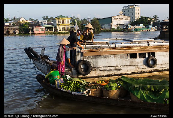 People buying fruit on boats, Cai Rang floating market. Can Tho, Vietnam