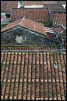 Rooftop detail. Hoi An, Vietnam (color)