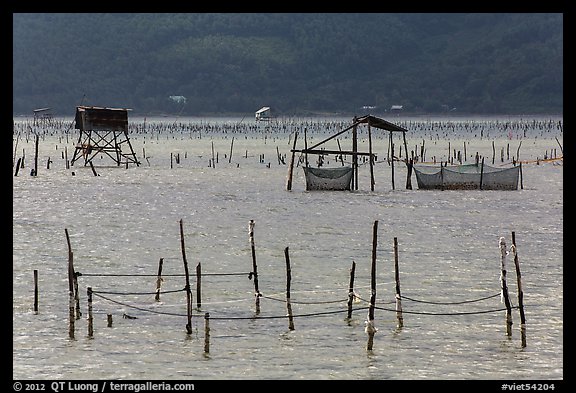 Pilings and fishing nets in lagoon. Vietnam (color)