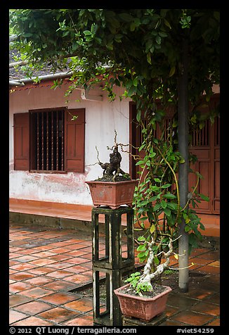 Bonsai trees and monastic buildings, Thien Mu pagoda. Hue, Vietnam (color)