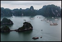 White tour boats and limestone islands covered in tropical vegetation. Halong Bay, Vietnam (color)
