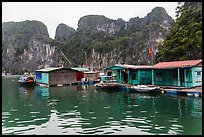 Vung Vieng village below karstic islands,. Halong Bay, Vietnam ( color)