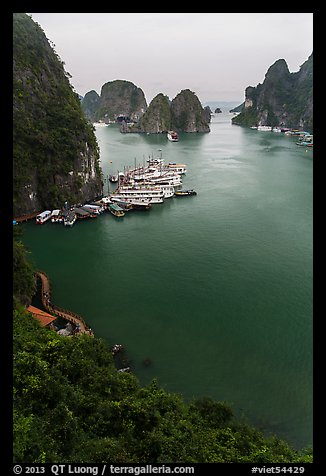 View over bay and boats from Surprise Cave exit. Halong Bay, Vietnam (color)