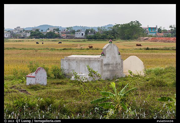 Tombs set amongst field. Vietnam (color)