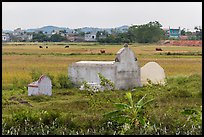 Tombs set amongst field. Vietnam ( color)