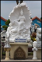 Stone carvings with No Camera No picture sign. Vietnam (color)
