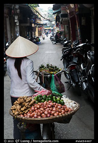 Woman pushing bicycle loaded with vegetable for sale in narrow street, old quarter. Hanoi, Vietnam (color)