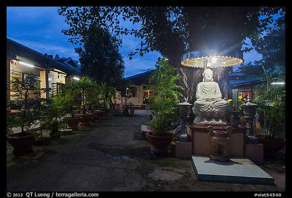Buddha and banyan tree at dusk, Phung Son Pagoda, district 11. Ho Chi Minh City, Vietnam