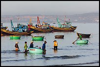 Fishermen use coracle boats to bring back catch from fishing boats. Mui Ne, Vietnam ( color)