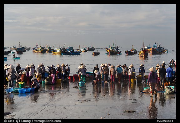 Crowds gather on wet beach for freshly caught seafood. Mui Ne, Vietnam