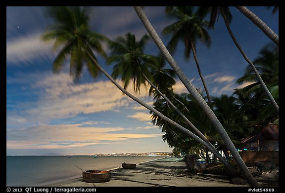 Palm-tree lined beach at night. Mui Ne, Vietnam
