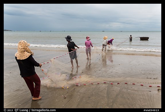 Fishermen lining up to pull net onto beach. Mui Ne, Vietnam