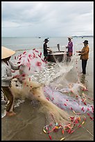 Woman folding fishing net. Mui Ne, Vietnam ( color)