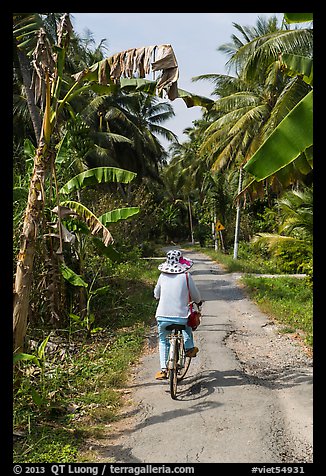 Bicyclist on rural road surrounded by banana and coconut trees. Ben Tre, Vietnam
