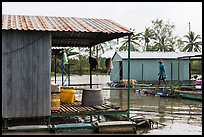 Man and dog walking across houseboats. My Tho, Vietnam ( color)