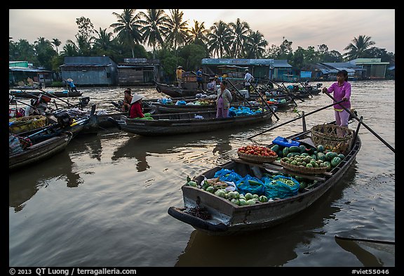 Woman paddles boat loaded with produce, Phung Diem floating market. Can Tho, Vietnam (color)
