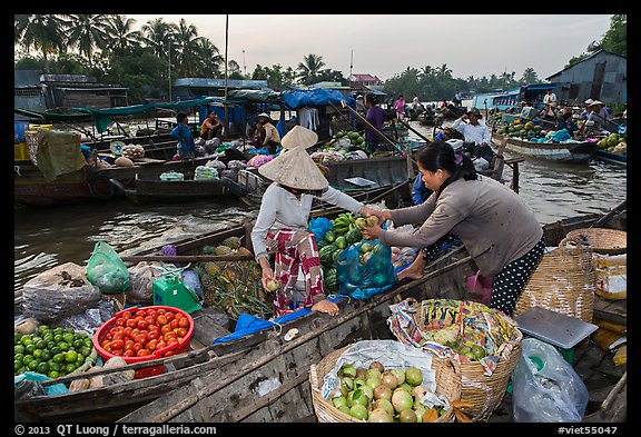 Fruit being sold from boat to boat, Phung Diem floating market. Can Tho, Vietnam (color)