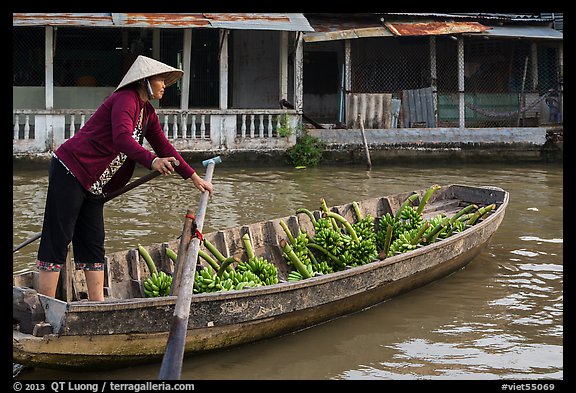 Woman paddling sampan boat loaded with bananas. Can Tho, Vietnam