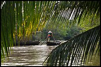 Woman paddling boat on river channel, framed by leaves. Can Tho, Vietnam (color)