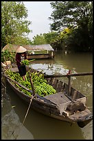 Woman unloading bananas from boat. Can Tho, Vietnam (color)
