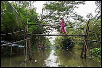 Woman traversing monkey bridge. Can Tho, Vietnam (color)