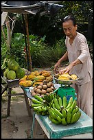 Woman selling fruit from roadside stand. Can Tho, Vietnam ( color)