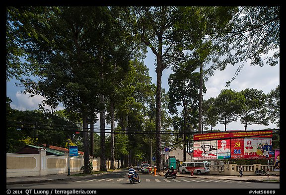 Tall trees on street through Tao Dan park. Ho Chi Minh City, Vietnam (color)
