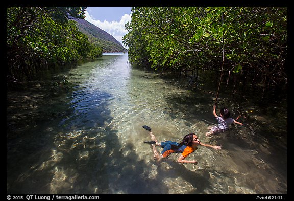 Children swim in mangrove forest, Bay Canh Island, Con Dao National Park. Con Dao Islands, Vietnam (color)