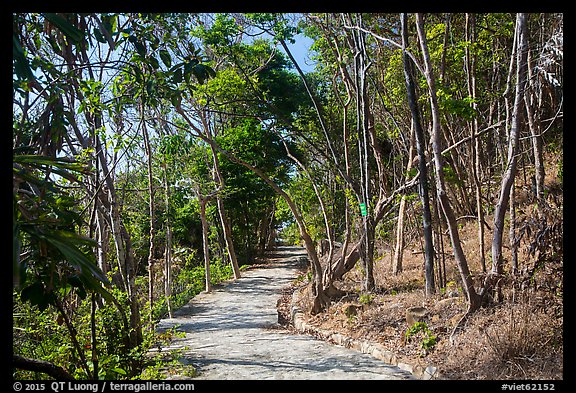 Trail, Bay Canh Island, Con Dao National Park. Con Dao Islands, Vietnam (color)