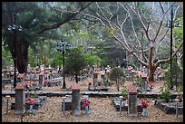 Graves, Hang Duong Cemetery. Con Dao Islands, Vietnam ( color)