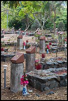 Unmarked graves, Hang Duong memorial cemetery. Con Dao Islands, Vietnam ( color)
