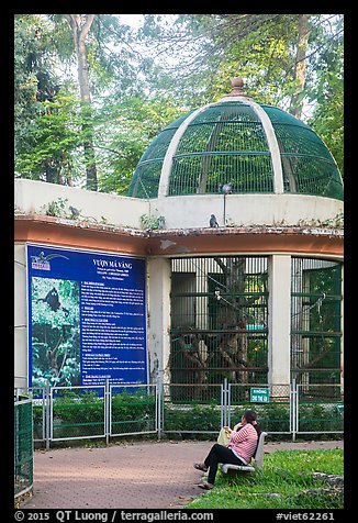 Monkeys inside and outside monkey exhibit, Saigon zoon. Ho Chi Minh City, Vietnam (color)