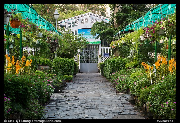 Orchid house, Saigon botanical garden. Ho Chi Minh City, Vietnam (color)