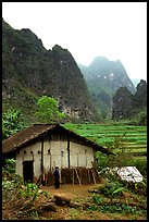 Rural home, terraced cultures, and karstic peaks, Ma Phuoc Pass area. Northeast Vietnam (color)
