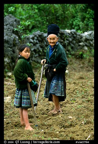 Elderly tribeswoman and girl doing field work  near Yen Chau. Northwest Vietnam