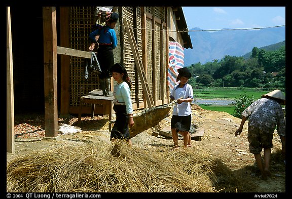 Thai women repair a house, Tuan Giao. Northwest Vietnam (color)