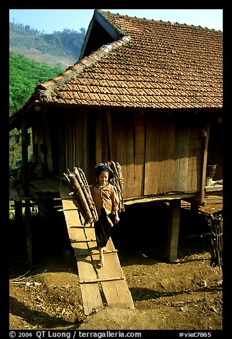 Montagnard child carries logs out of her house, between Tuan Giao and Lai Chau. Northwest Vietnam