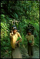 Montagnard women carrying bamboo sections, near Lai Chau. Northwest Vietnam ( color)