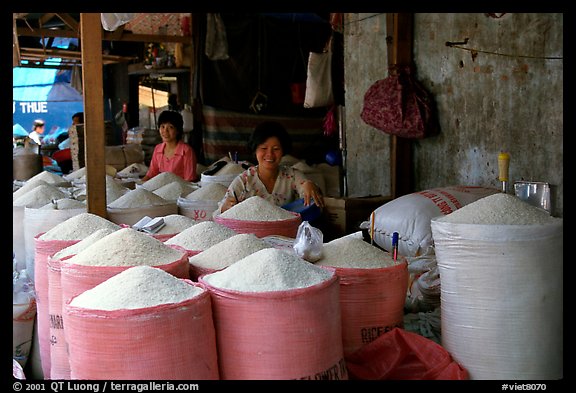 Rice is the basis of Vietnamese food, and there is a lot to choose from, district 6. Cholon, Ho Chi Minh City, Vietnam (color)