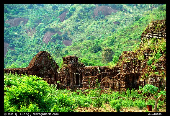 Ancient Cham Temples set in jungle. My Son, Vietnam