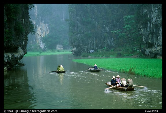 Villagers go to work floating a shallow river in Tam Coc. Ninh Binh,  Vietnam