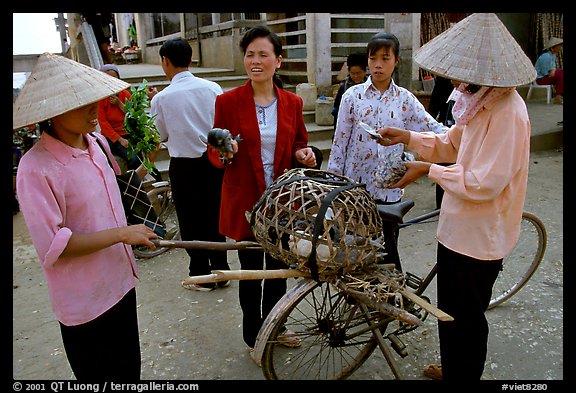 Buying live birds. Sapa, Vietnam