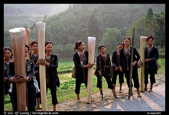 Ethnic minority women carrying banana trunks. Vietnam (color)