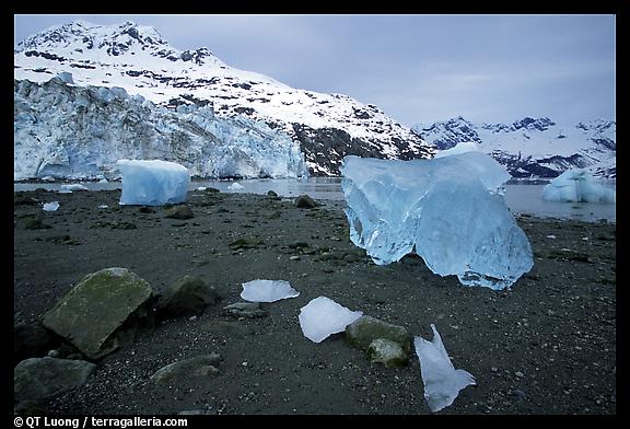 Icebergs and glacier, Glacier Bay National Park. 