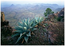 South Rim, Big Bend National Park, Texas.  ( )