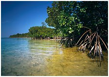 Elliott Key, Biscayne National Park, Florida.  ( )