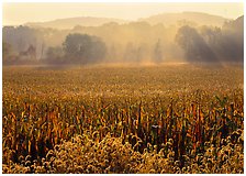 Cuyahoga Valley National Park, Ohio.  ( )