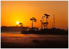 Everglades  National Park, Florida.  ( )