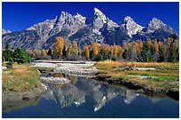 Schwabacher landing, Grand Teton National Park, Wyoming.  ( )