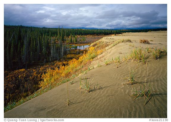 Great Sand Dunes, Kobuk Valley National Park, Alaska.  ()
